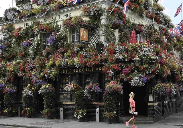 A woman walks past The Churchill Arms public house in west London July 23, 2014. The 18th century public house has twice won the “London in Bloom” competition for its floral displays and hanging baskets which adorn the outside. (Photo by Toby Melville/Reuters)