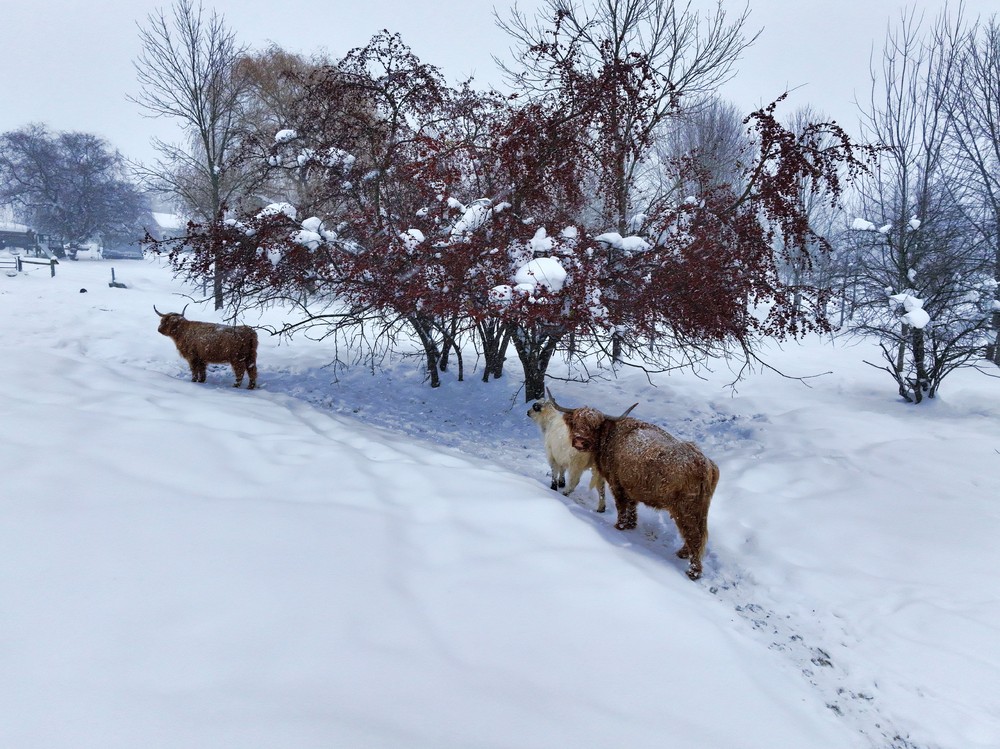 USA last Week, Part 1/2