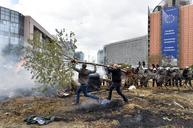 Farmers and dairy farmers from all over Europe take part in a demonstration outside a European Union farm ministers' emergency meeting at the EU Council headquarters in Brussels, Belgium September 7, 2015. (Photo by Eric Vidal/Reuters)