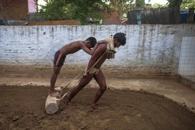 Pehlwans (Indian traditional wrestlers) prepare the wrestling ground area before practice at a gym in New Delhi on June 25, 2020. (Photo by Xavier Galiana/AFP Photo)