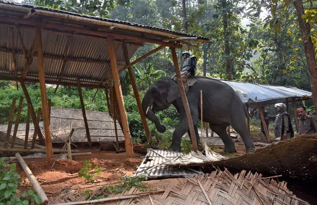 A policeman guides his elephant to demolish huts which forest officials claimed were illegally built at the Amchang Wildlife Sanctuary in Guwahati, November 27, 2017. (Photo by Anuwar Hazarika/Reuters)