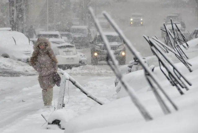 A woman walks in heavy snowfall in the far eastern Russian city of Vladivostok, December 1, 2014. (Photo by Yuri Maltsev/Reuters)