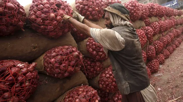 A labourer moves sacks of onions to a truck bound for Afghanistan at a transit depot in Peshawar, Pakistan September 15, 2015. (Photo by Fayaz Aziz/Reuters)