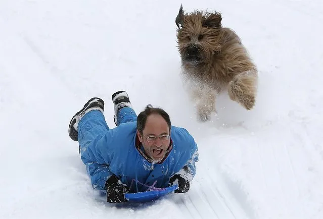 Chased by his dog, a man speeds down a hill on a sled in New York's Central Park, February 9, 2013. A blizzard pummeled the northeastern United States, leaving hundreds of thousands without power and disrupting thousands of flights. (Photo by Carlo Allegri/Reuters)
