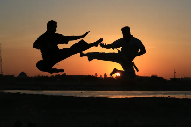 Silhouettes of athletes practicing Kyokushin before the sunset at Abu Nuwas Park in Baghdad, Iraq on August 09, 2020. A group of athletes gather in open-air at Abu Nuwas Park to do sports as within the coronavirus (Covid-19) pandemic. (Photo by Murtadha Al-Sudani/Anadolu Agency via Getty Images)