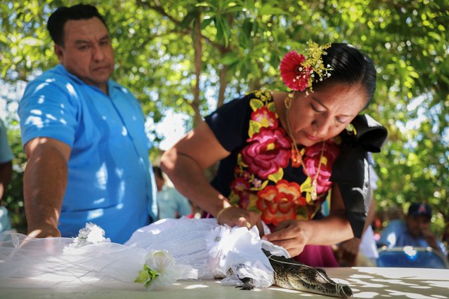 Yareli Avendano, “godmother” to a female caiman named “princess girl” Miguelana Estela del Mar Zavaleta Ramirez, a reptile that closely resembles an alligator, dresses the reptile in a wedding dress before a symoblic marriage between the reptile and San Pedro Huamelula mayor Daniel Gutierrez Pena, which is rooted in more than 230 years of tradition and joins two of Oaxaca state's indigenous cultures, the Chontal and the Huave, to plead for nature's bounty, in San Pedro Huamelula, Mexico, on June 30, 2025. (Photo by Raquel Cunha/Reuters)
