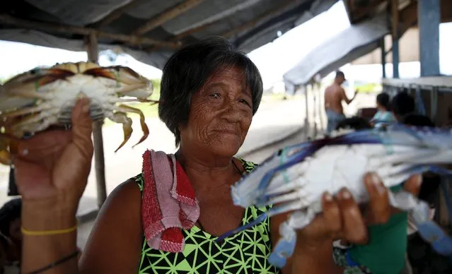 A woman shows crabs she is selling in a coastal village in Tacloban city in central Philippines November 2, 2015, ahead of the second anniversary of Typhoon Haiyan that killed more than 6,000 people in central Philippines. (Photo by Erik De Castro/Reuters)