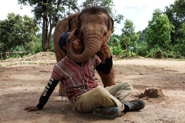 A Karen elephant keeper plays with a baby elephant at the Elephant Freedom Village in Chiang Mai, Thailand on July 21, 2025. Karen elephant keepers work to preserve traditional hill tribe methods of human coexistence with animals. (Photo by Valeria Mongelli/Anadolu via Getty Images)