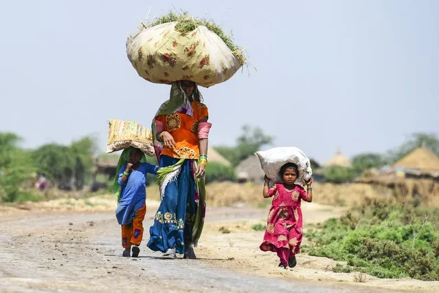 A woman along with her children carry hay to feed cattle in Sanjar Chang village, Mirpurkhas district in Sindh province on April 9, 2023. (Photo by Asif Hassan/AFP Photo)