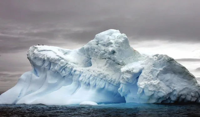 Glaciers in Antartica, 09 November 2007. (Photo by Rodrigo Arangua/AFP Photo)
