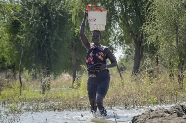 Mother of five Nyaduoth Kon, carries food in a bucket on her head as she wades through floodwaters in the village of Wang Chot, Old Fangak county, Jonglei state, South Sudan Thursday, November 26, 2020. Some 1 million people in the country have been displaced or isolated for months by the worst flooding in memory, with the intense rainy season a sign of climate change. (Photo by Maura Ajak/AP Photo)