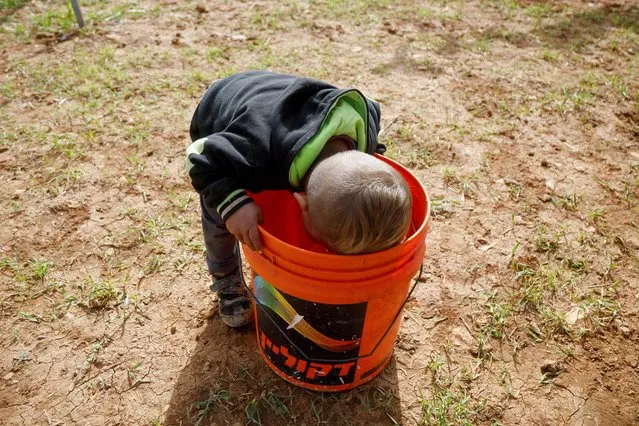 A Palestinian boy drinks water from a bucket near the site of his family's tented home, which according to Palestinians was dismantled by Israeli forces in Jordan Valley in the Israeli-occupied West Bank on February 2, 2021. (Photo by Raneen Sawafta/Reuters)
