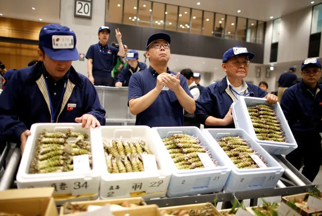 Auctioneers take part in a wasabi auction at the greengrocery area on the opening day of the new Toyosu market, which has been relocated from Tsukiji market, in Tokyo, Japan, October 11, 2018. (Photo by Issei Kato/Reuters)