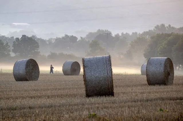A woman walks past straw bales on a field in Wehrheim near Frankfurt, Germany, early Monday, August 21, 2023. (Photo by Michael Probst/AP Photo)