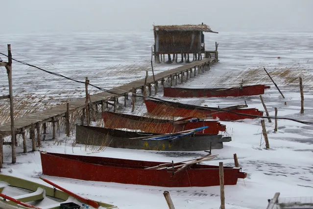 Fishing boats are stuck in the frozen Dojran lake, Macedonia January 11, 2017, as icy weather continues across Europe. (Photo by Ognen Teofilovski/Reuters)