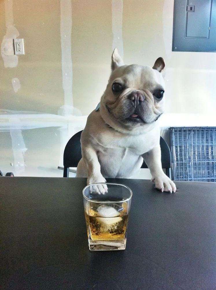 Sir Charles Barkley on Instagram