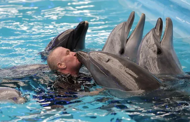 Sergiy, a Ukrainian soldier who suffered a serious head injury in the anti-terrorist operations in Eastern Ukraine, kisses a dolphins during a dolphin-therapy session at an aquarium in Kiev, Ukraine, Tuesday, March 1, 2016. Ukrainian movement “Alliance soldiers and volunteers” organises sessions for the rehabilitation of wounded soldiers. (Photo by Efrem Lukatsky/AP Photo)