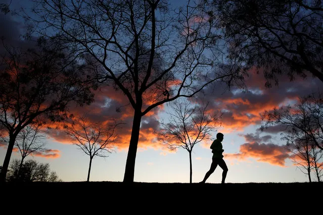 A man runs in a park in Madrid, Spain January 23, 2017. (Photo by Juan Medina/Reuters)
