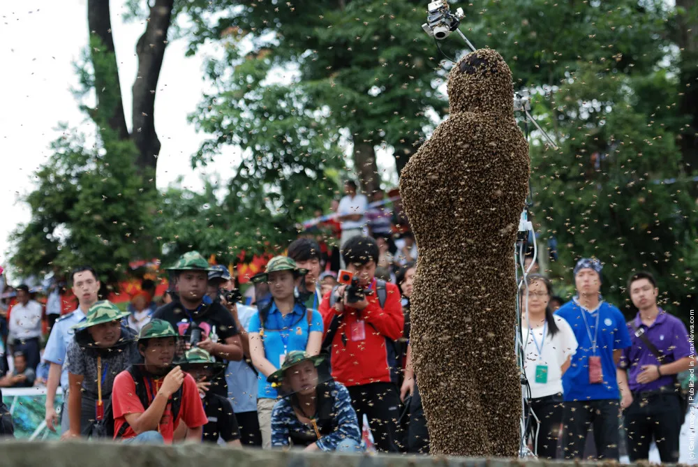“Bee Bearding” Contest In Hunan
