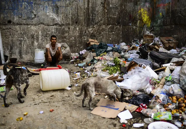 A man waits to get some food at a garbage dump in Las Minas de Baruta neighborhood, Caracas, Venezuela, on March 14, 2019. Venezuela's public employees were called to return to work Thursday after the government ended a nearly week-long hiatus caused by an unprecedented nationwide blackout that deepened widespread anger against President Nicolas Maduro. Communications Minister Jorge Rodriguez said in an address on state television Wednesday that Maduro decided the public sector would resume work on Thursday, although state schools would remain closed for an extra day. (Photo by Ronaldo Schemidt/AFP Photo)