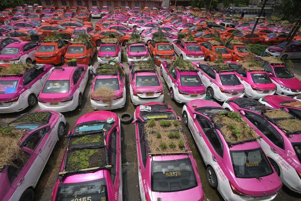 A Look at Life in Thailand