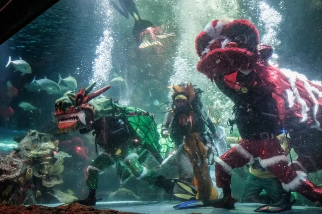 Divers perform a dragon and lion dance in an aquarium to celebrate the Lunar New Year at Sea World Ancol in Jakarta on February 8, 2024, ahead of the Lunar New Year of the Dragon which falls on February 10. (Photo by Yasuyoshi Chiba/AFP Photo)