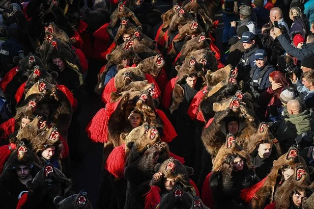 Revellers wearing bearskin costumes march during the Bearskin Parade in Comanesti, Romania, on December 30, 2022. More than two hundred 'bears' and dozens of musicians, surrounded by police and tourists, took part in the end-of-the-year parade. Young men and women dressed in real bearskin and traditional costumes paraded to chase away the evil spirits of the coming year. In all regions of Romania similar events exist but it is in this historical region of Moldova that they are the most developed. Comanesti has become the centre, attracting more and more troupes of dancers every year. (Photo by Daniel Mihailescu/AFP Photo)