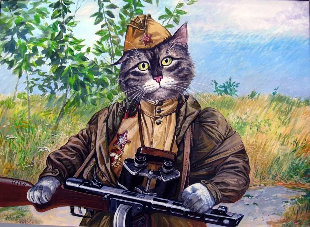 Epical Сats by Alexandr Zavala 