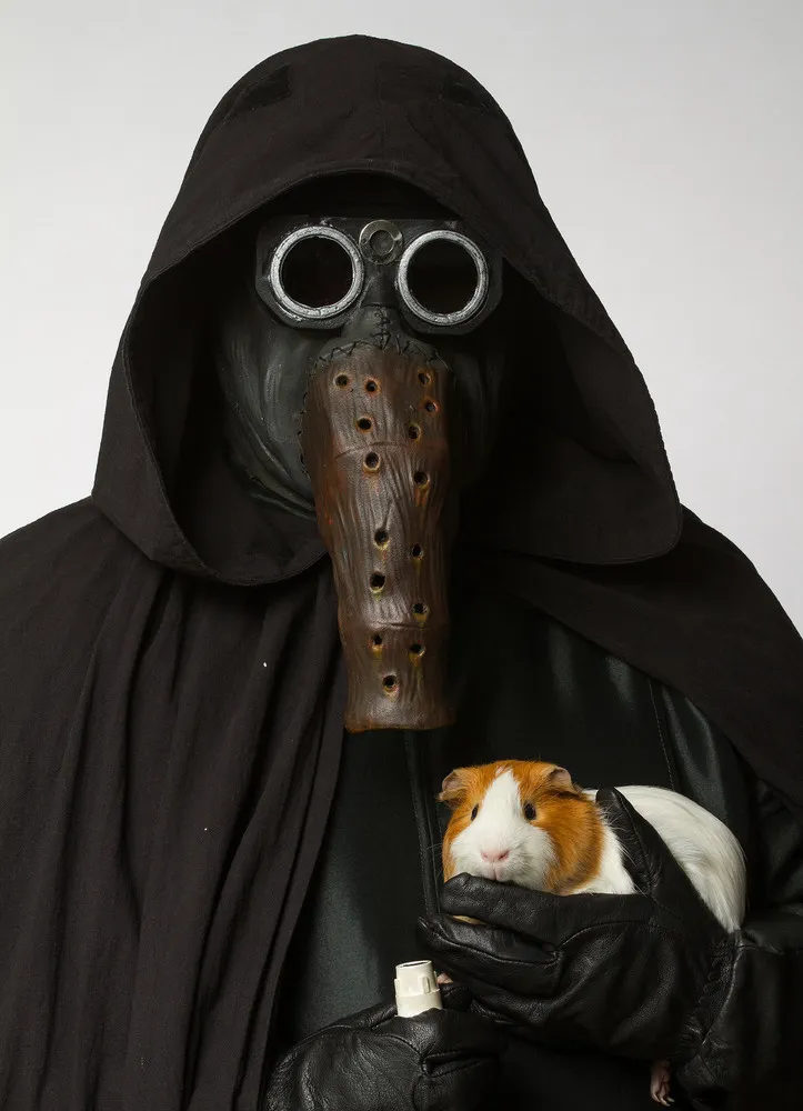 Star Wars Characters and Pets