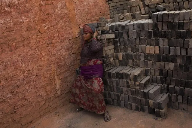 In this Wednesday, May 13, 2015 photo, a Nepalese laborer carries a load of bricks at a brick factory in Bhaktapur, Nepal. (Photo by Bernat Amangue/AP Photo)