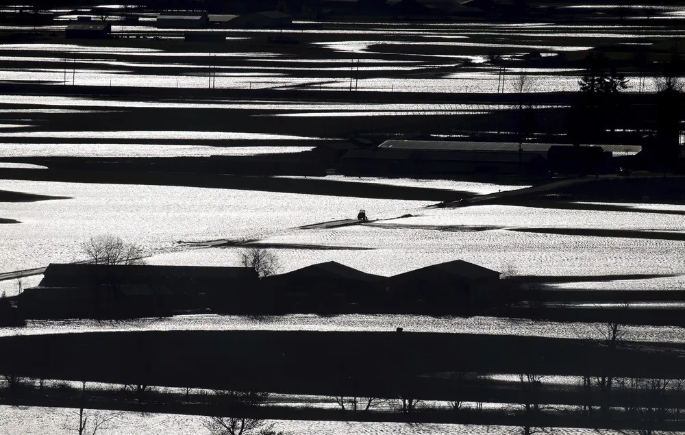 Some Photos: Silhouettes