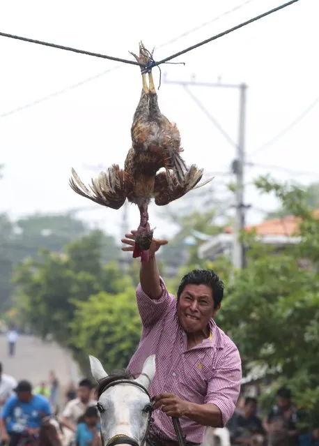 A man attempts to pull off the head of a live rooster while riding a horse during celebrations in honour of San Juan Bautista in San Juan de Oriente town, Nicaragua, June 26, 2015. (Photo by Oswaldo Rivas/Reuters)