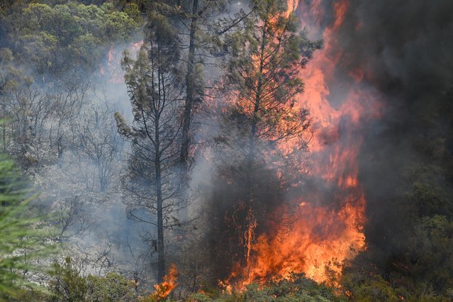 A view of flames as Ridge Fire of wildfires continue as the temperature hits 107°F (42°) today in Lake County and Colusa County of California, United States on July 21, 2024. (Photo by Tayfun Coskun/Anadolu via Getty Images)