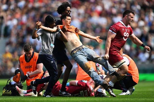 A “Just Stop Oil” protestor invades the pitch and is apprehended by stewards during the Gallagher Premiership Final between Saracens and Sale Sharks at Twickenham Stadium on May 27, 2023 in London, England. (Photo by Mike Hewitt/Getty Images)