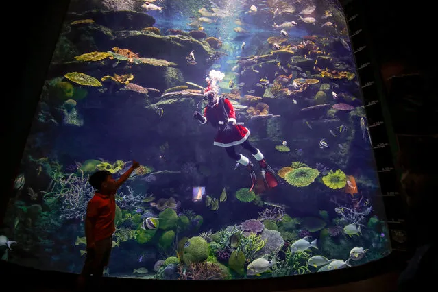 A young boy gives a thumbs up to a diver dressed as Santa Claus swimming with fish at Sea Life aquarium in Bangkok, Thailand, 23 December 2019. As the festive season nears, shops and shopping malls utilize Christmas related displays hoping to attract more customers and boost sales. (Photo by Diego Azubel/EPA/EFE)