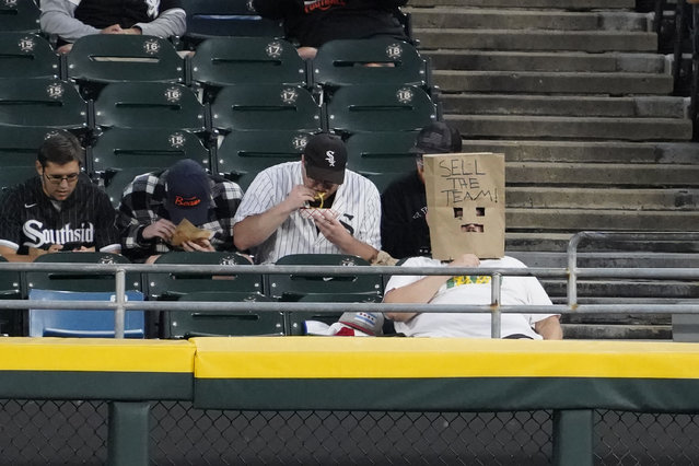 Christian Landreth, right from Glen Ellyn, Ill.,  wears a bag on his head during a baseball game between the Chicago White Sox and the Los Angeles Angels during the first inning. The White Sox are going for the MLB record for loses122 if they lose tonight, Wednesday, September 25, 2024, in Chicago. (Photo by David Banks/AP Photo)