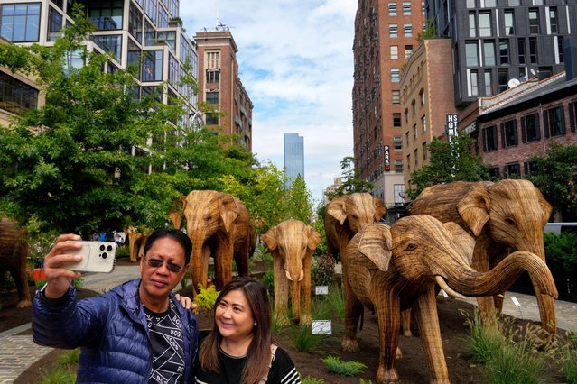 People pose for a selfie in front of life sized Indian elephant structures which are standing in the Meatpacking district as part of the public art installation “The Great Elephant Migration” in New York City on September 6, 2024. (Photo by Adam Gray/Reuters)