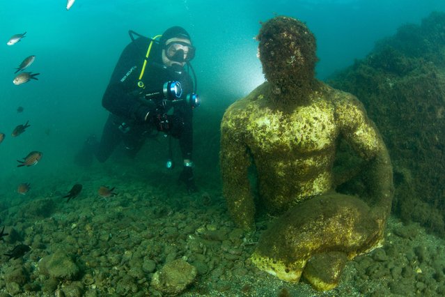 Scuba diver with statue depicting a companion of Ulysses (perhaps Baio), located in the submerged Nymphaeum of Emperor Claudius, near Punta Epitaffio , Marine Protected Area of Baia, Naples, Italy, Tyrrhenian Sea on July 28, 2024. (Photo by Alamy Stock Photo)