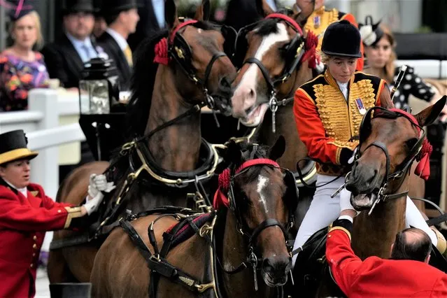 Princess Beatrice, at rear right, reacts as a mounted groom and other try to settle one of the horses leading her carriage on the fifth day of the Royal Ascot horserace meeting, at Ascot Racecourse, in Ascot, England, Saturday, June 18, 2022. (Photo by Alastair Grant/AP Photo)