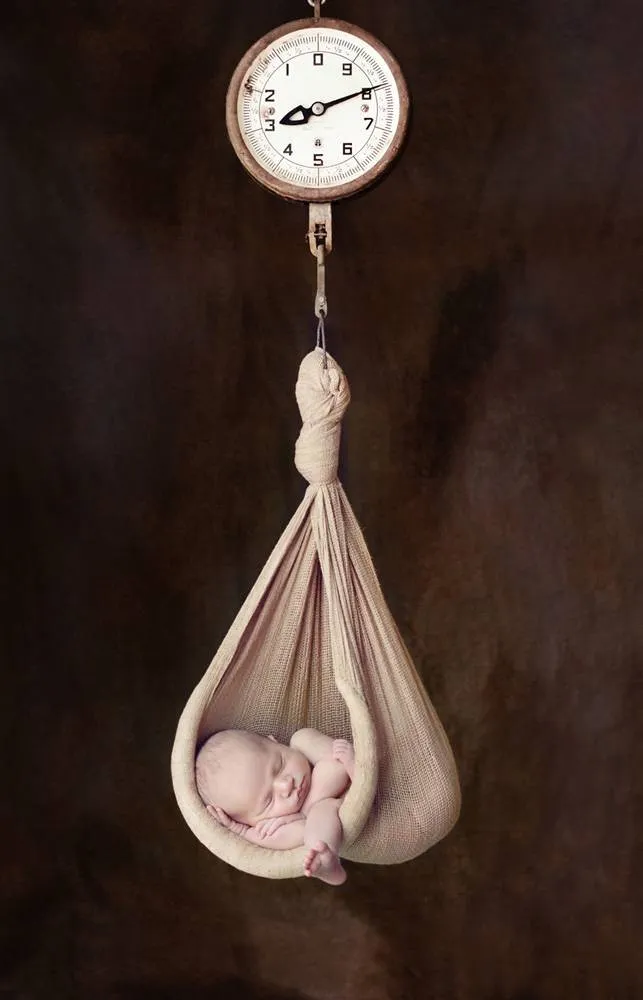 Newborns in Dreamland by Tracy Raver