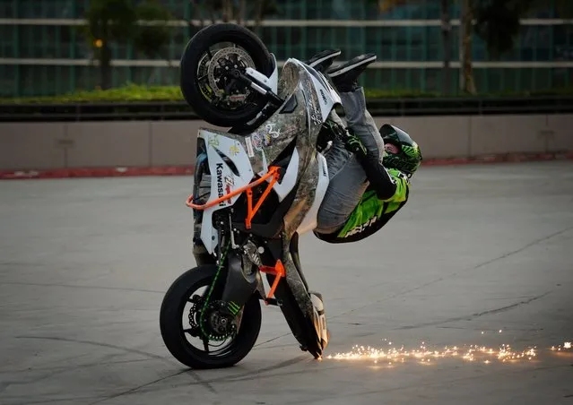 Freestyle stunt rider Eric Hoenshell performs a wheelie during the No Limits Stunt Show at the Progressive International Motorcycle Show in Long Beach, California on November 14, 2014. The three-day event showcases over 20 major motorcycle manufacturers as well as custom bike builders and stunt shows. (Photo by Mark Ralston/AFP Photo)