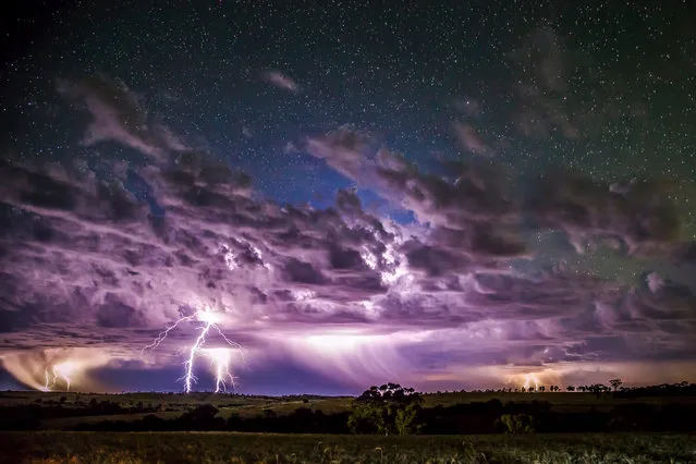 Stormy Stars. (Photo by Stephen Humpleby/CWAS/The Guardian)