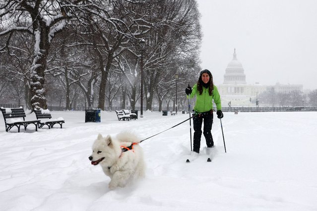 A woman on skis walks her dog along the National Mall as snow falls during a winter storm in Washington, DC. on January 6, 2025. Dangerous wintry conditions affect a large swath of the central and eastern United States as a severe storm system continues to track eastward, prompting travel and work disruptions from Kansas City to Washington. (Photo by USA Today)