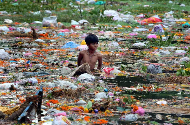 Young ragpickers collect clothes, coins, wooden materials and other usable items cluttered at the bank of the Jawahar Lal Nehru lake after the immersion of Lord Ganesh idols to mark the end of the Ganesh festival, in Bhopal, India, September 9, 2014. Despite of the warning of the district administration not to immerse idols in the lake to protect the environment, hundreds of idols have been immersed by devotees, resulting in a huge pollution of the lakes in India. (Photo by Sanheev Gupta/EPA)