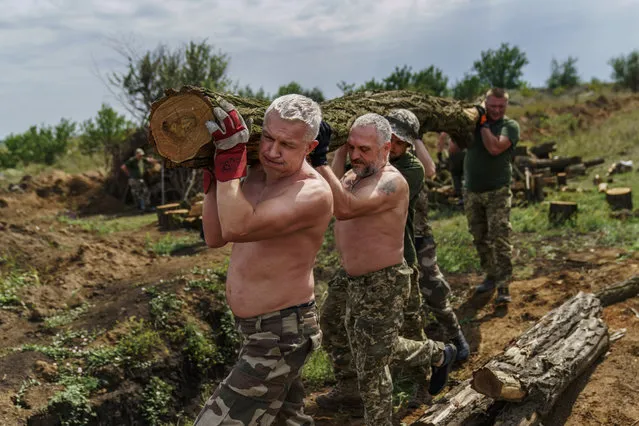Members of the Dnipro-1 regiment carry logs to fortify their position near Sloviansk, Donetsk region, eastern Ukraine, Friday, August 5, 2022. While the lull in rocket strikes has offered a reprieve to remaining residents, some members of the Ukrainian unit say it could be a prelude to renewed Russian attacks. (Photo by David Goldman/AP Photo)