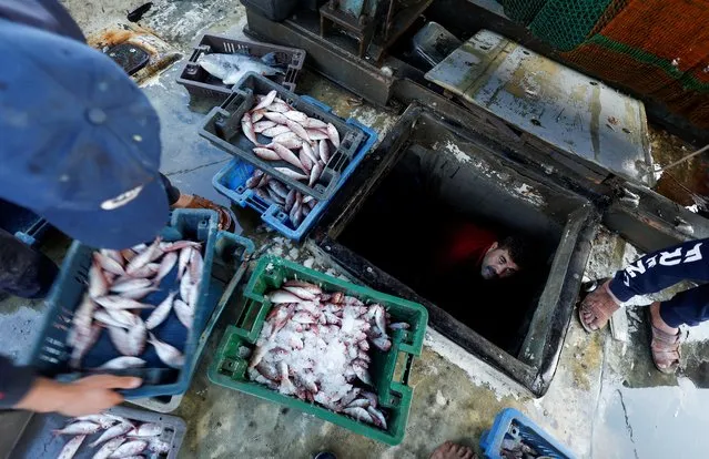 A Palestinian fisherman unloads his catch at Gaza Seaport in Gaza City on September 20, 2022. (Photo by Mohammed Salem/Reuters)