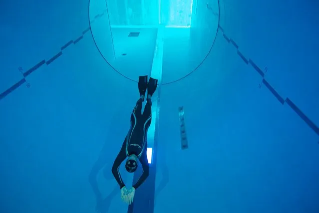 The Y-40 Deep Joy is the worlds deepest pool. (Photo by Courtesy Y40 Deep Joy)