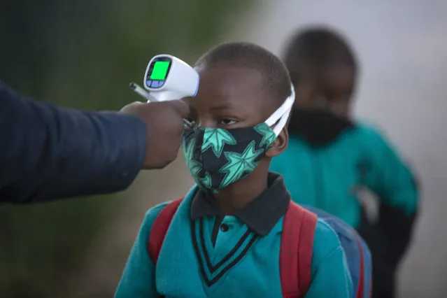 A pupil's temperature is checked on returning to school in Johannesburg, Tuesday July 7, 2020, as more learners were permitted to return to class. Schools were shut down in March prior to a total country lockdown in a bid to prevent the spread of coronavirus and are now slowly being re-opened. (Photo by Denis Farrell/AP Photo)