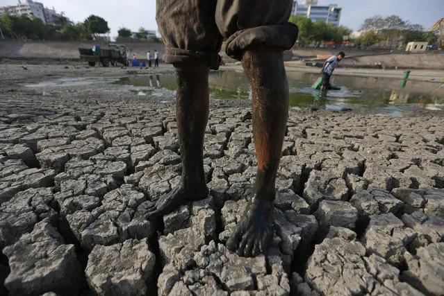 An Indian man stands on the parched bed of the Vastrapur Lake that got dried up due to hot weather as he removes dead fish and rescues the surviving ones  in Ahmadabad, India, Sunday, April 24, 2016. India is grappling with severe water shortages and drought affecting more than 300 million people, a quarter of the country's population. Thousands of distressed farmers have committed suicide, tens of thousands of farm animals have died, and crops have perished, with rivers, lakes and ponds drying up and groundwater tables sinking. (Photo by Ajit Solanki/AP Photo)