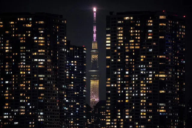 A general view shows buildings and the Tokyo Skytree (C) in Tokyo on August 15, 2020. (Photo by Charly Triballeau/AFP Photo)